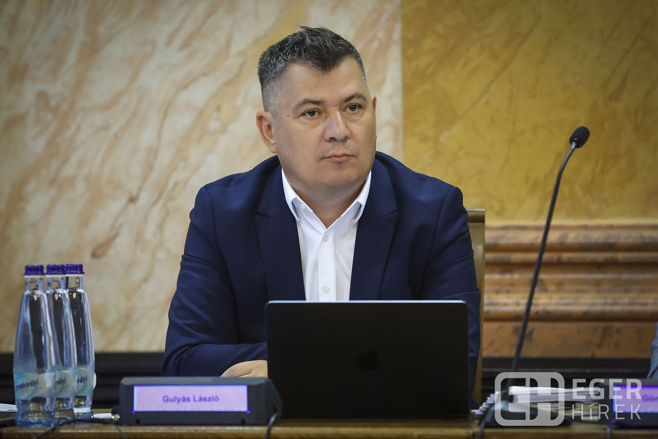 Gulyás László