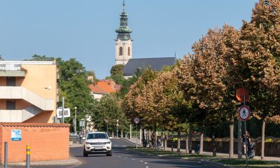 Eger nyár
