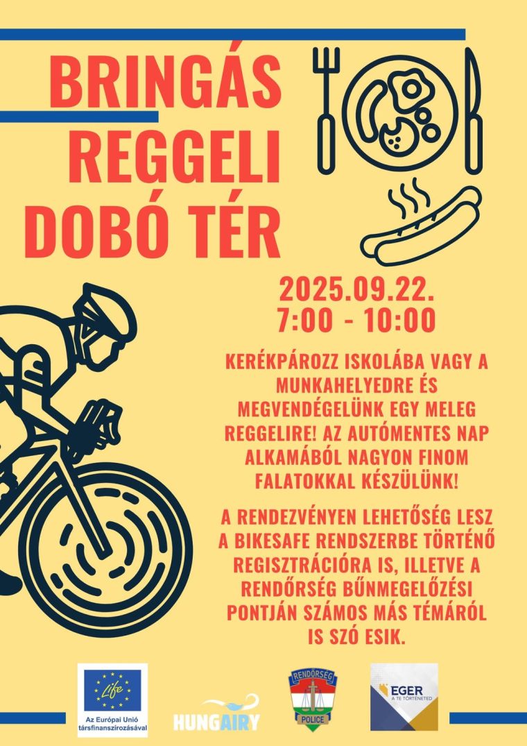 547177255 1206465218189474 9063363653233601012 n