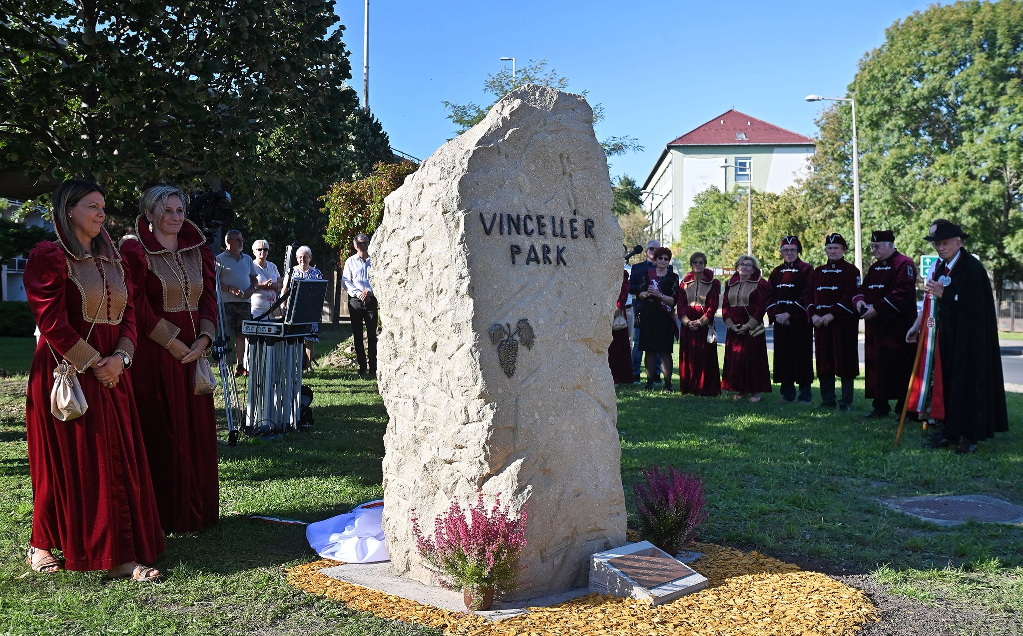 552148473 834499689737496 7112521129629846920 n