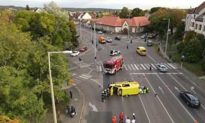 559562438 1364276379039005 6808344143399559981 n