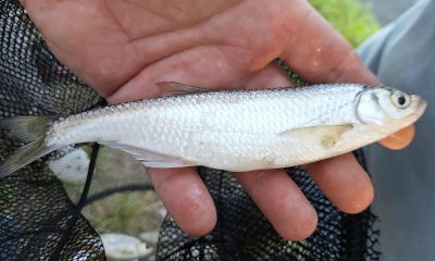 562287019 1214922307335547 4105212979367902990 n