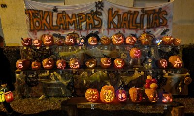 571265936 1532104708072435 5511556025150978524 n.webp 2