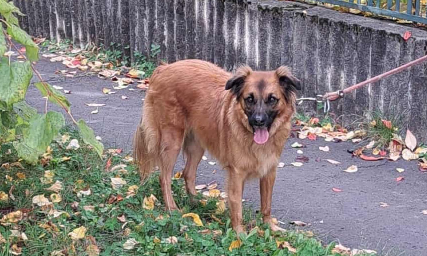 Képernyőfotó 2025 10 20 10.04.00