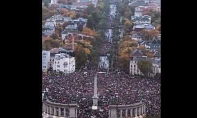 C684942ea1544e80b4c05684092618d1