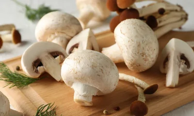 Gomba tapanyagok.png