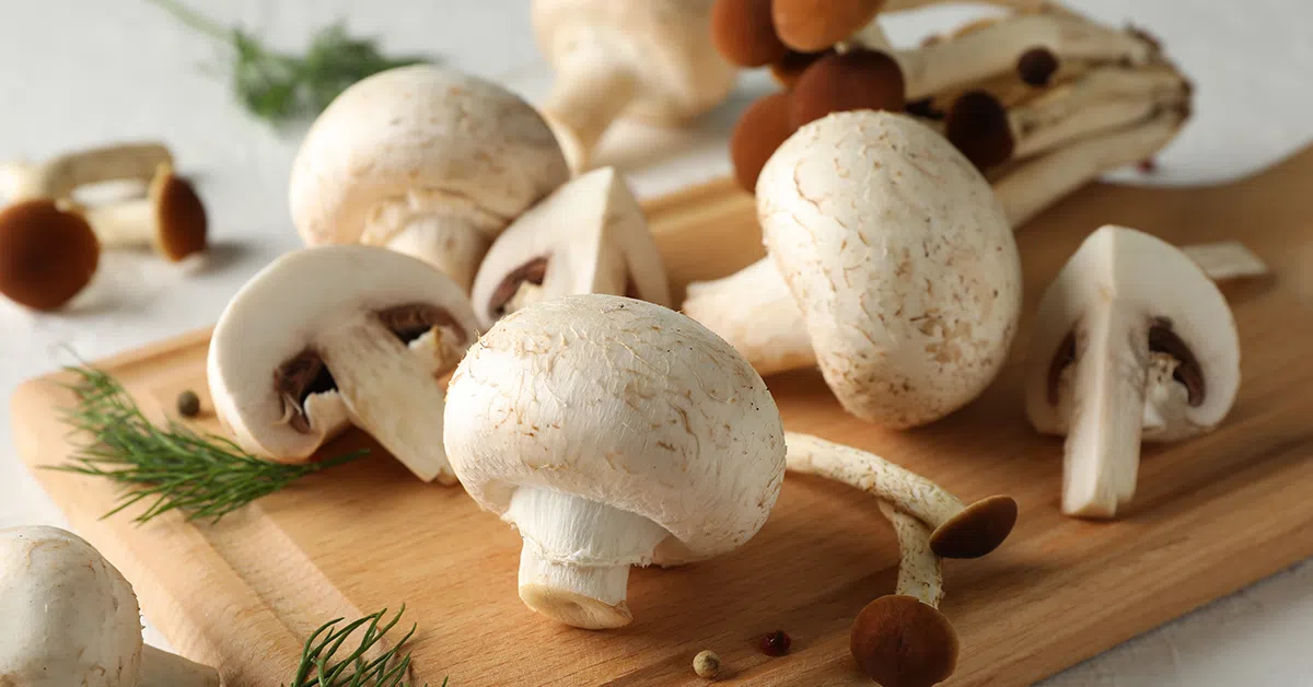 Gomba tapanyagok.png