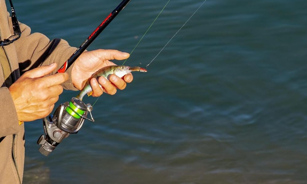 Jadabo.com 2025 október linkmarketing 3