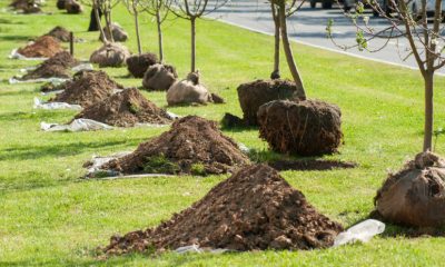 1670330678 kqllmuc3h md