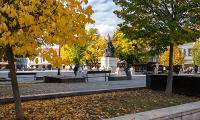 571505762 10228058459910715 6123165912688583920 n