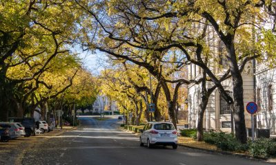 574567650 10228133477266102 256533917370540001 n