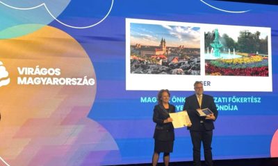 587259605 1271821581653837 7101801294114091807 n