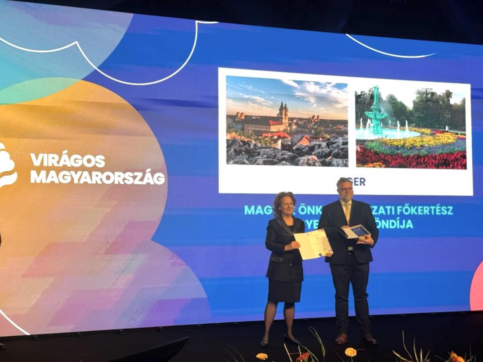 587259605 1271821581653837 7101801294114091807 n