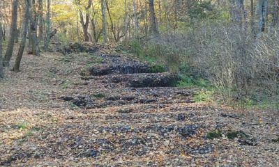 Képernyőfotó 2025 11 03 11.16.14