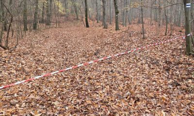 Képernyőfotó 2025 11 11 18.02.00