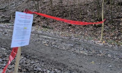 Képernyőfotó 2025 11 20 13.04.09