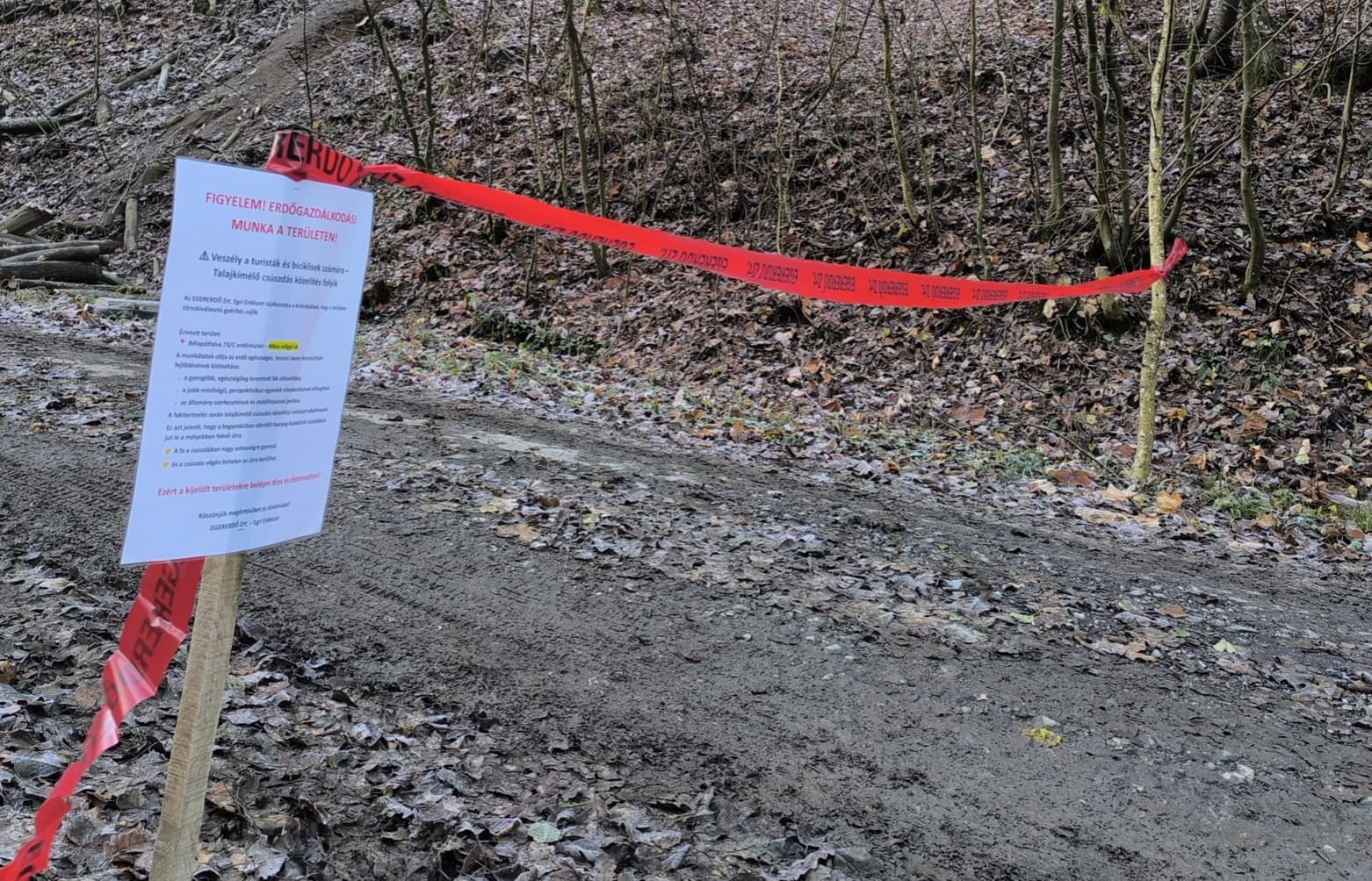 Képernyőfotó 2025 11 20 13.04.09