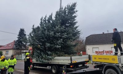 Képernyőfotó 2025 11 20 19.04.40