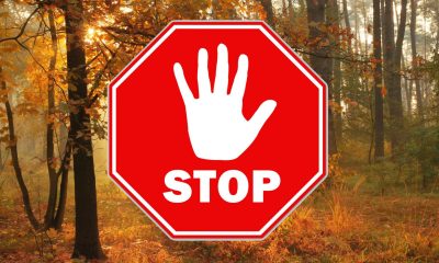 Vadászati korlátozás