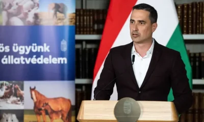 Hunpets.hu rekordszamu allatvedo civil szervezet nyert az egymilliard forintos palyazaton ovadi peter 960x540 1