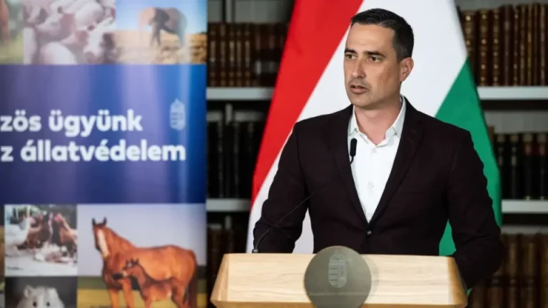 Hunpets.hu rekordszamu allatvedo civil szervezet nyert az egymilliard forintos palyazaton ovadi peter 960x540 1