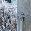 Attached to a wooden post on an allotment garden in winter