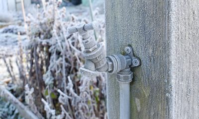 Attached to a wooden post on an allotment garden in winter