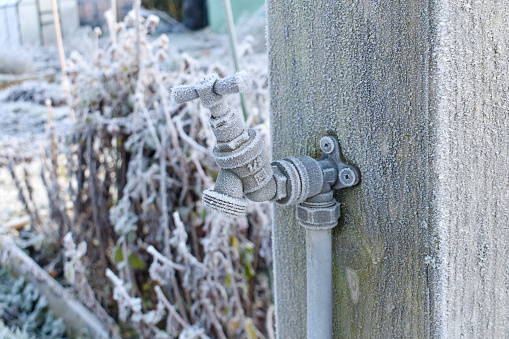 Attached to a wooden post on an allotment garden in winter