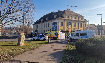 595848275 1415680827231893 4495876657718955240 n