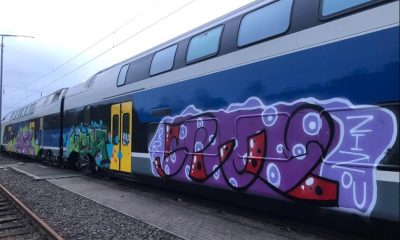 73277662 2483082445118776 469243984749789184 n