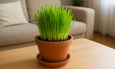 Chatgpt image 2025 dec 4 21 06 59 e1764879340103