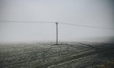 Frosty field with electric pole in a misty day