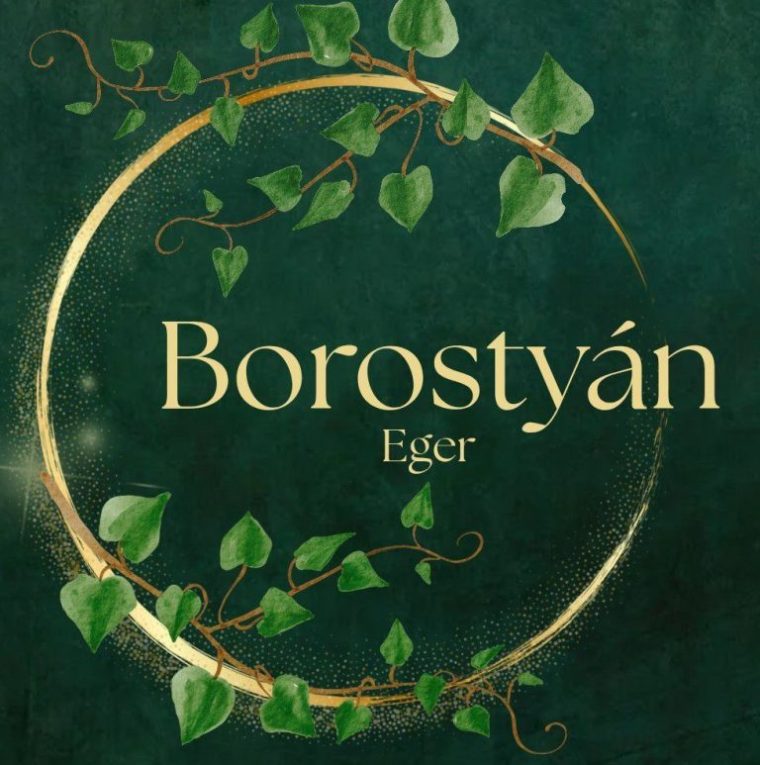 540957481 122103234314993213 2552895830993537529 n 768x773