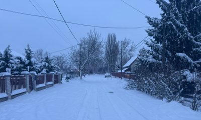 685ae670f83646c19388c61e2412939a