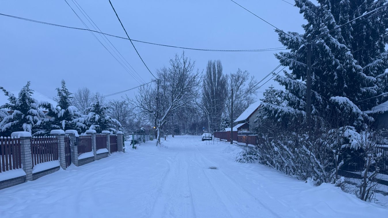 685ae670f83646c19388c61e2412939a