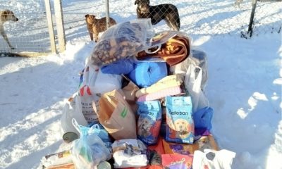 A27f42e1 d9e4 46f3 8ac9 6e00fe48f9b3