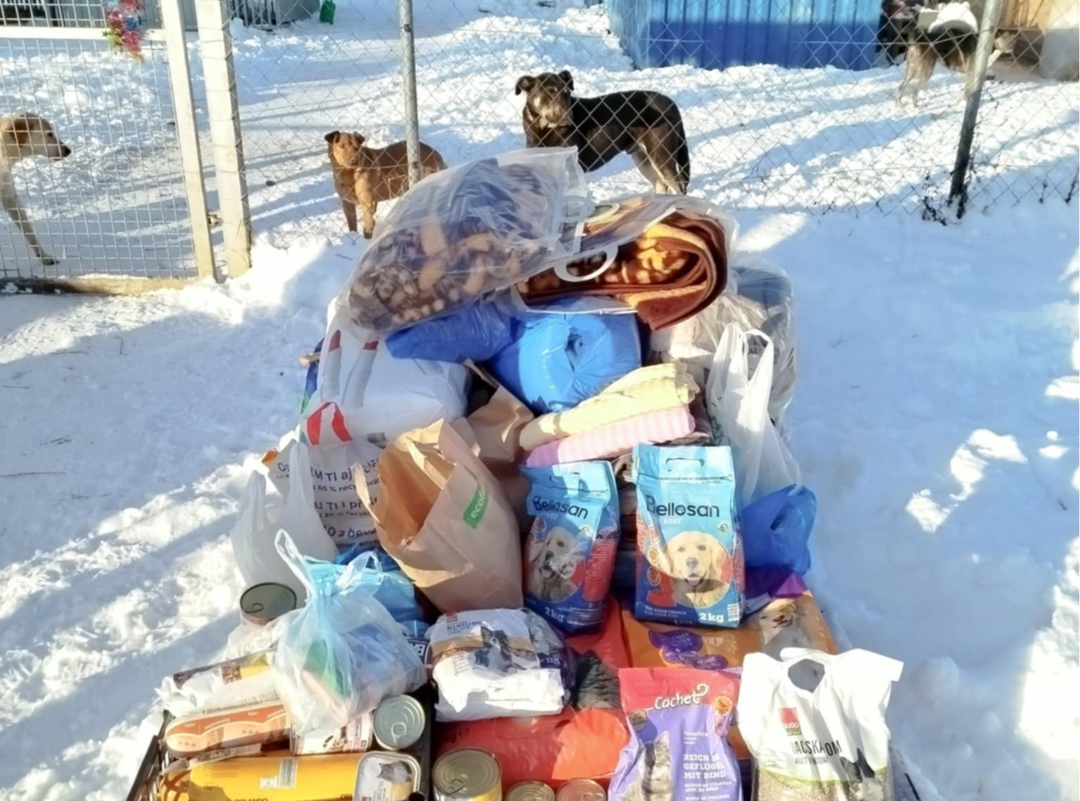 A27f42e1 d9e4 46f3 8ac9 6e00fe48f9b3