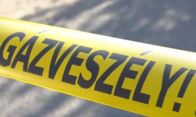 Image a1f8ce2f9d53a20a9cefec91f733944f.sm