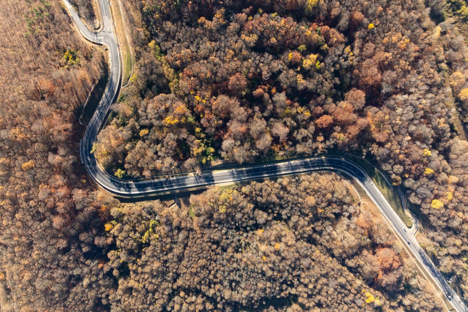 Web 251107 em 0462 1536x1024