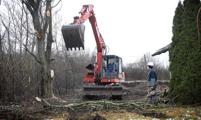 637719695 1033668326487297 7639604681494818379 n