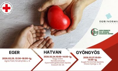 Képernyőfotó 2026 02 23 12.24.16