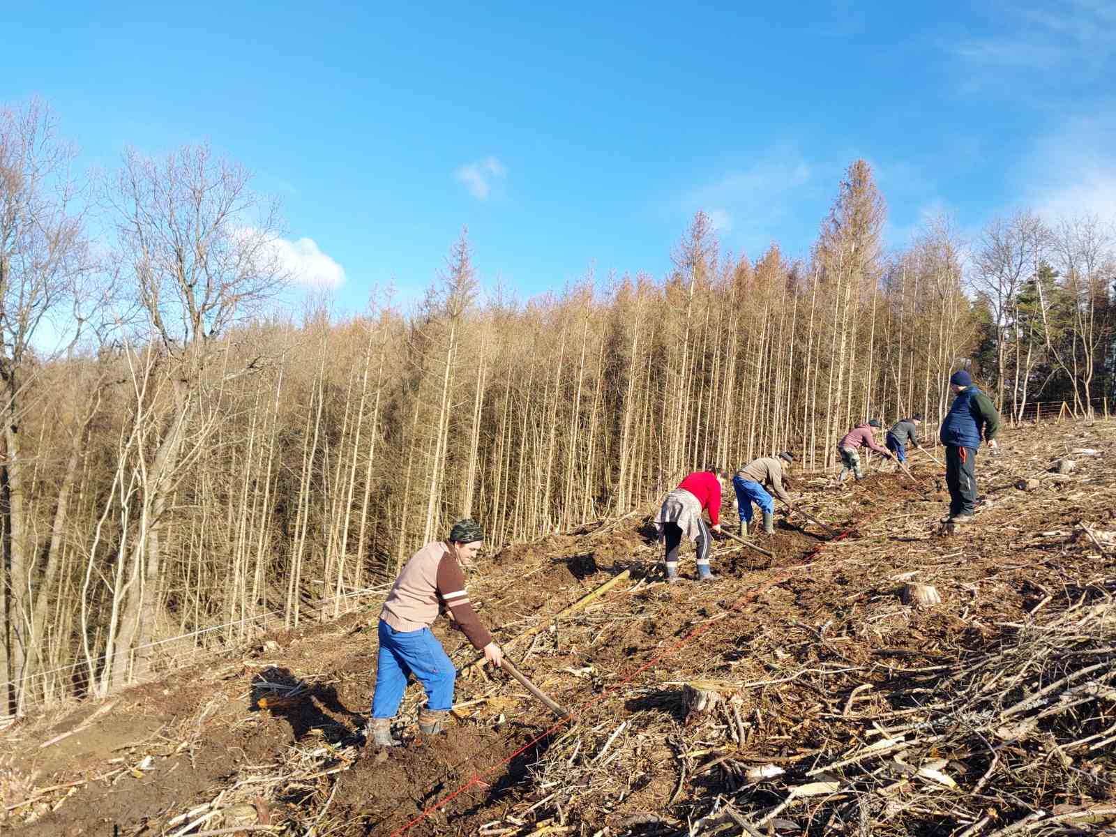 Viber kép 2026 02 24 09 59 41