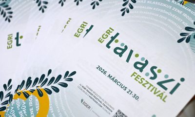 649620647 1060823390438457 2125435666921152289 n