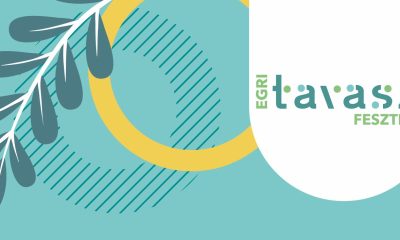 ~ai ff20f521 0057 4747 b6ad 17d26d7ef1cb