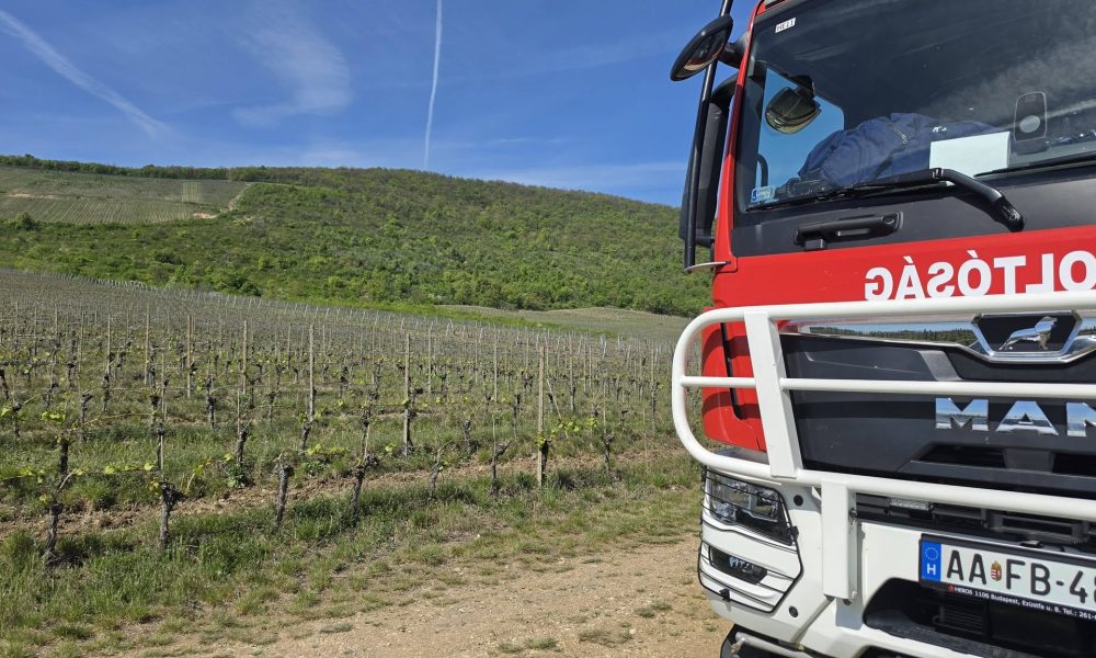 681590679 1537927568340551 3977389462854338440 n