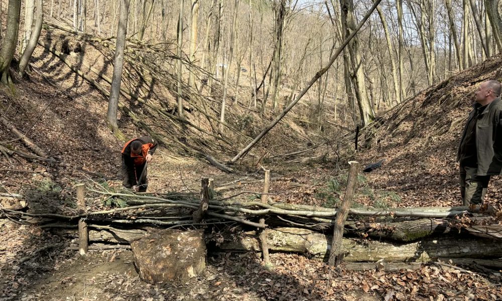 Messenger creation 85DB3655 768B 43B9 9DF6 00F65C6538E8