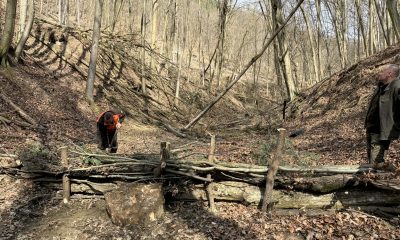 Messenger creation 85DB3655 768B 43B9 9DF6 00F65C6538E8