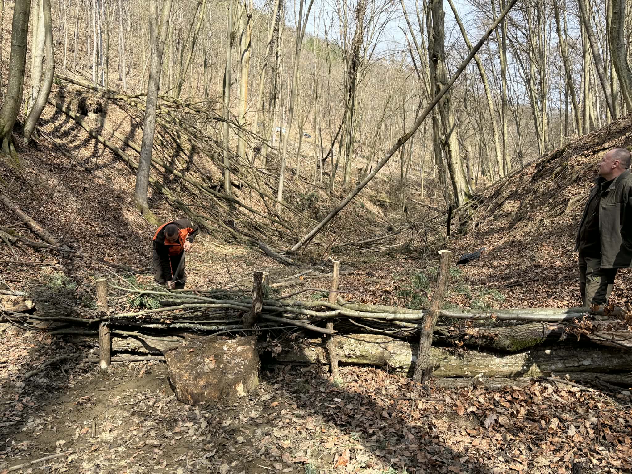 Messenger creation 85DB3655 768B 43B9 9DF6 00F65C6538E8