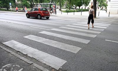 726420907 1567816171366615 1906149592452586500 n