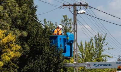 Képernyőfotó 2026 07 08 11.04.57